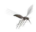 Flying Mosquito